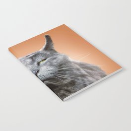 Angry Grey Cat Selfie Notebook