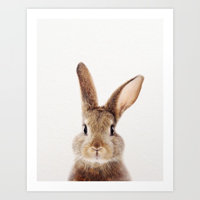 baby rabbit brown bunny baby animals art print by synplus art print by synplus