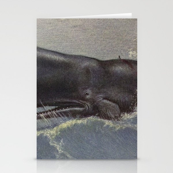 Vintage Sperm Whale Painting 1909 Stationery Cards By