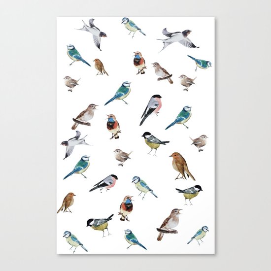 I love birds Canvas Print