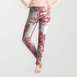 Nautical Coral Pattern in toile style Leggings