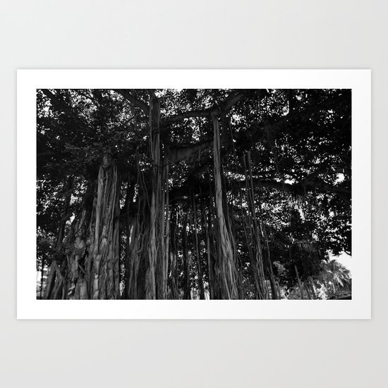 The Banyan Art Print