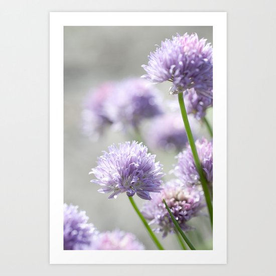 I dreamt of fragrant gardens Art Print