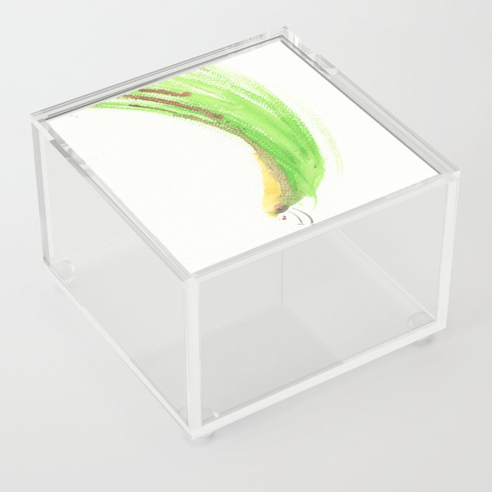 sky diving bug Acrylic Box