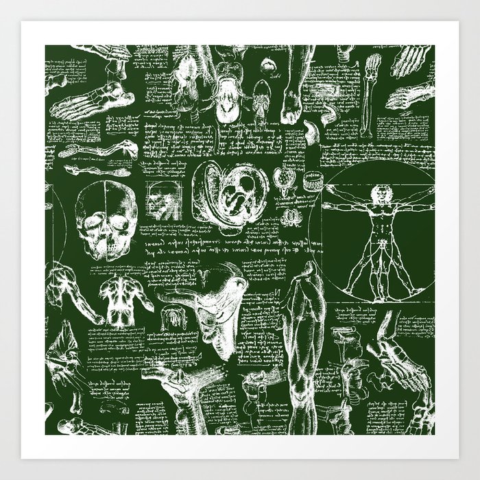Da Vinci's Anatomy Sketchbook // Myrtle Green Art Print