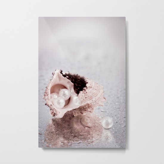 Elegant STILL LIFE with sea shell and pearls Metal Print