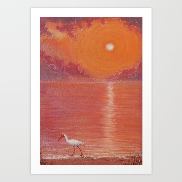 Ibis Sunset Art Print