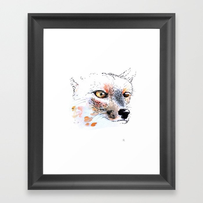 Cumpeo Fox Framed Art Print