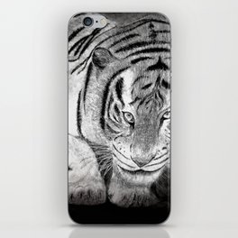 Tiger Gaze Art Print iPhone Skin