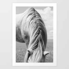 Horse Photography | Horse Mane Art Print