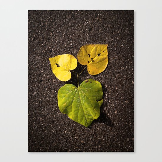 Leaf Love No.2 Canvas Print