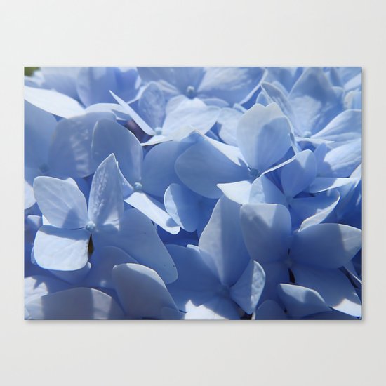 Blue hydrangea in LOVE- Flower floral Canvas Print