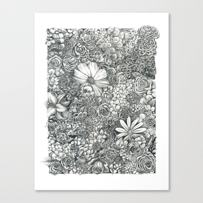 Boxed Flowers Canvas Print