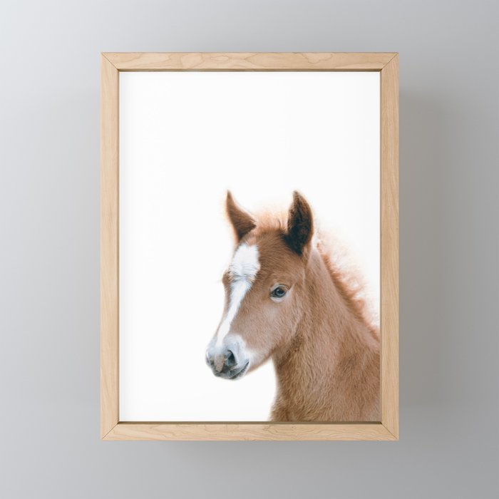 Baby Horse, Foal, Farm Animals, Art for Kids, Baby Animals Art Print By Synplus Framed Mini Art Print