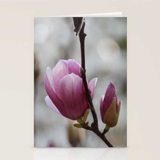 Bloom Stationery Cards