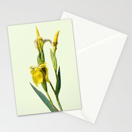 Yellow iris blossom Stationery Card