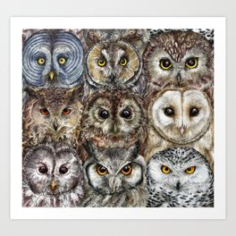 Owl Optics Art Print