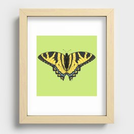 Tiger Swallowtail Butterfly Recessed Framed Print