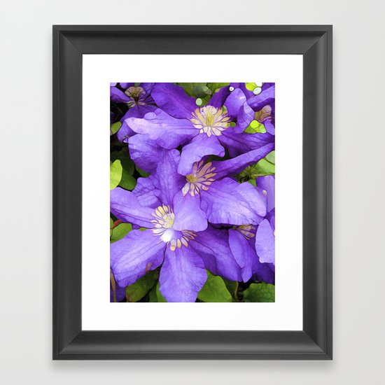 Wonder Framed Art Print