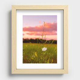 Wildflower 2 Recessed Framed Print