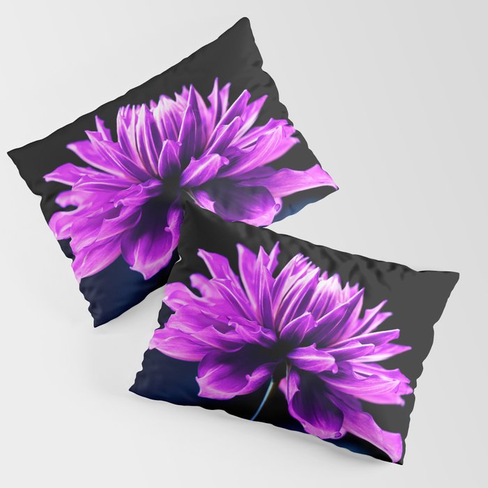 Purple Love Dahlia Pillow Sham