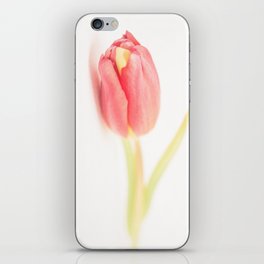 Tulips_01 iPhone Skin