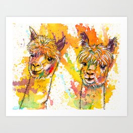 The Alpacas - Acrylic Painting Art Print