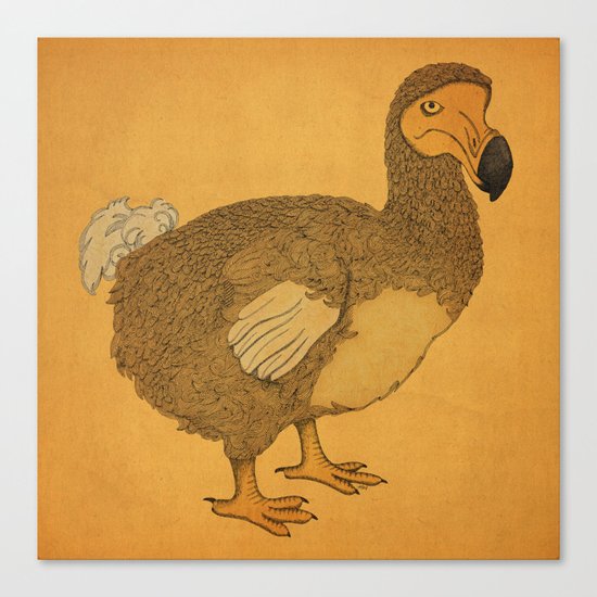 Dodo Canvas Print