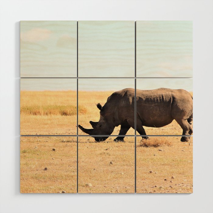 South Africa Photography - Rhino At The Dry Empty Savannah Wood Wall Art