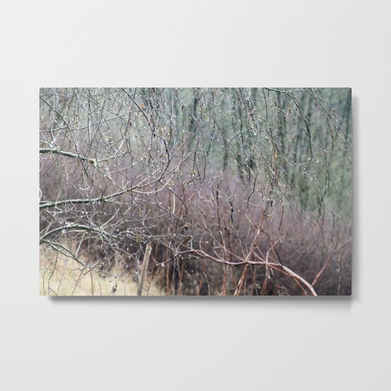 DEW Metal Print