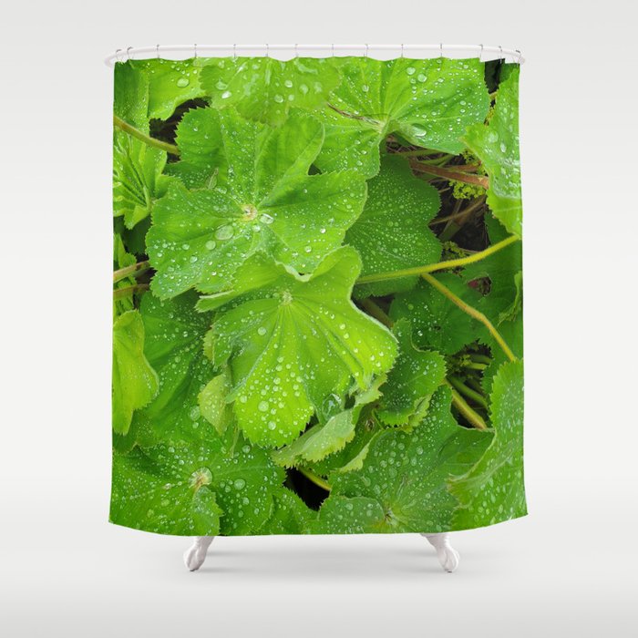 Dew Drops On The Green Leaves Shower Curtain