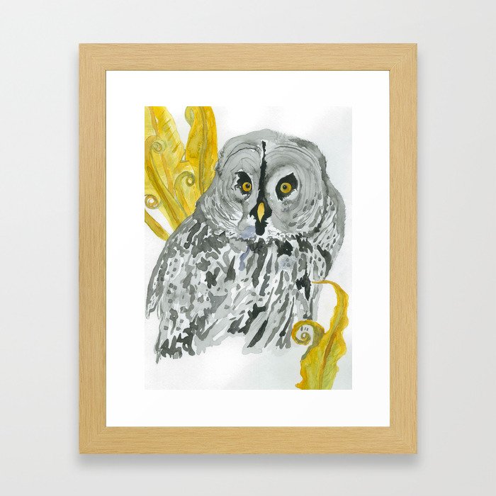  Twilight Guardian Harry Potter Owl Framed Art Print