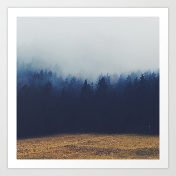 Misty Forest 2 Art Print By Nadja1