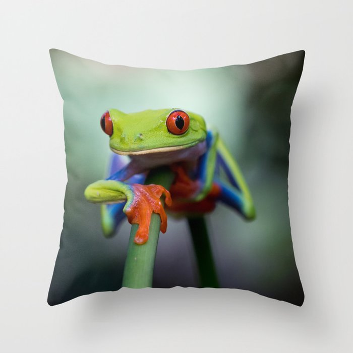 Costa Rican Tree Frog Throw Pillow