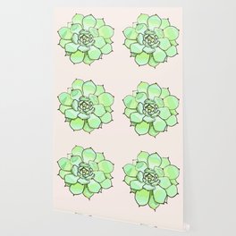 Succulent Wallpaper For Any Decor Style Society6
