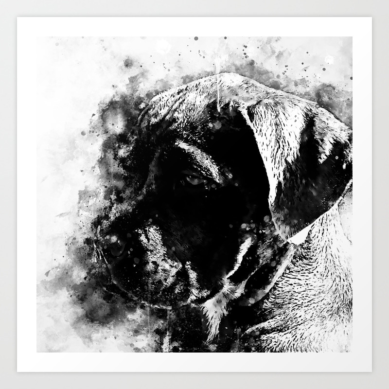 Cane Corso Italian Mastiff Dog Wsbw Art Print By Gxp Design Society6