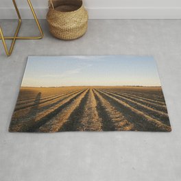 Plowed cotton fields on the outskirts of Clarksdale in Mississippis Delta region Rug