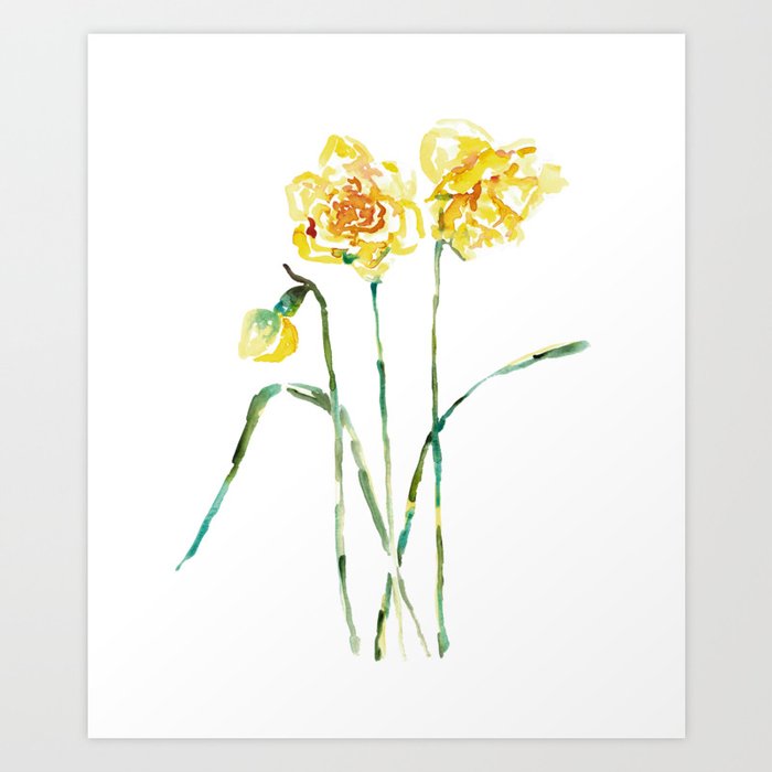 Narcissus flower Daffodil Painting Abstract Watercolor Art Print