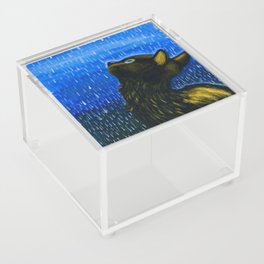 Rainy Day Acrylic Box