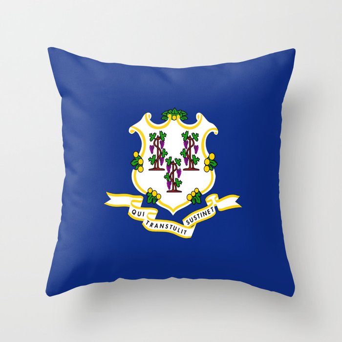 flag Connecticut,america,us,new England,constitution,Connecticuter,Yale,Nutmegger,Hartford Throw Pillow