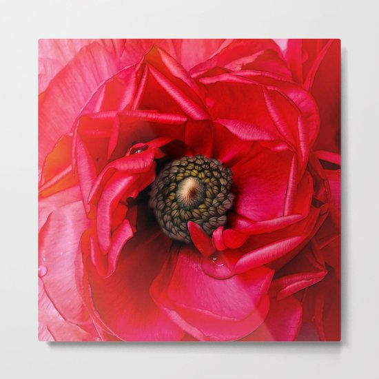 Red Passion Metal Print
