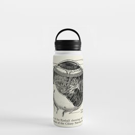 Vintage Anatomy The Human Eyeball Water Bottle