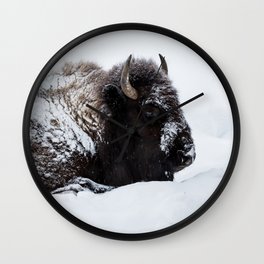 One cold bison Wall Clock | Even Toedungulates, Nature, Animal, Americanbison, Nationalpark, Yellowstone, Bison, Mammal, Photo, Ungulate 