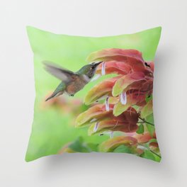 Hummingbird in Justicia Throw Pillow