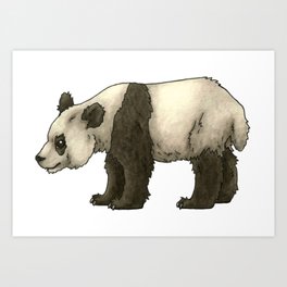 Panda Illustration Art Print