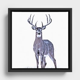 Deer Gaze Framed Canvas