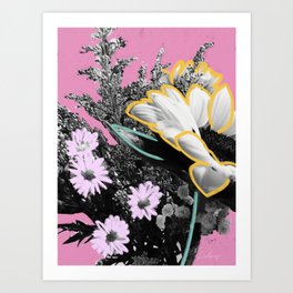 Pick Me Up III - Sunflower Floral Mixed Media Photography Illustration Art Print