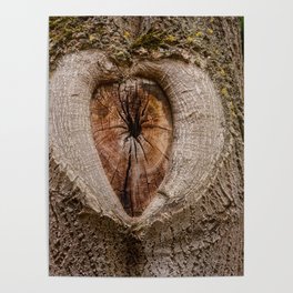 tree tribe branch knothole nature Poster
