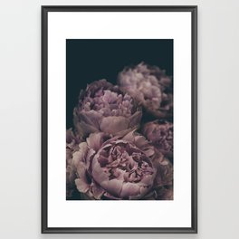 Moody Peonies | Modern Floral Photography | Nature Framed Art Print