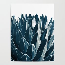 Agave Chic #3 #succulent #decor #art #society6 Poster